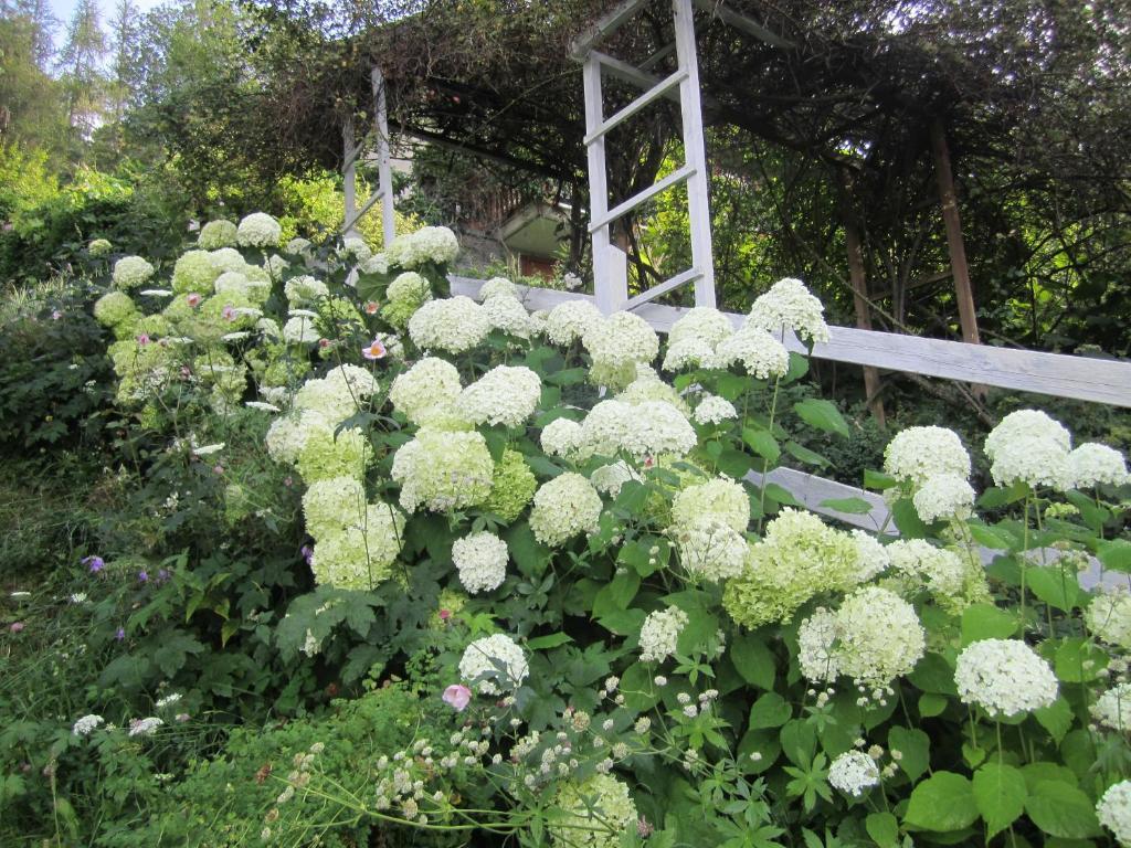 Вілла Il Giardino Dell'Artemisia Піла Екстер'єр фото