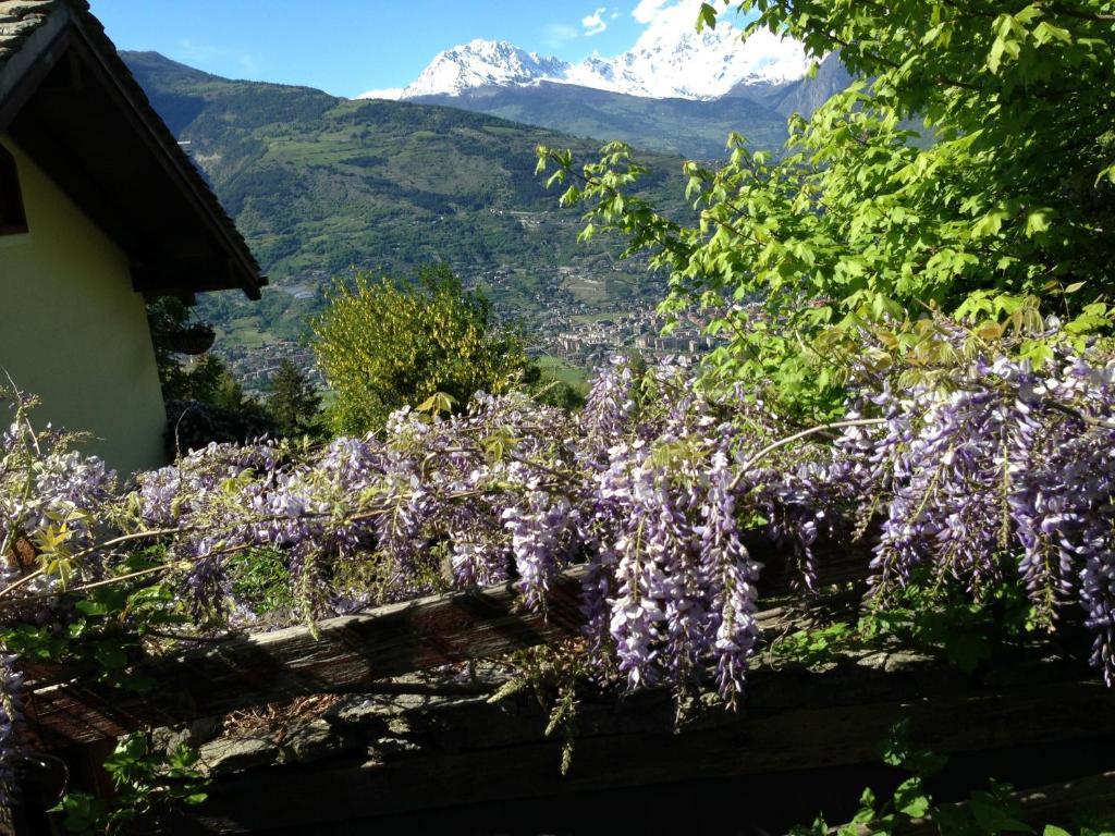 Вілла Il Giardino Dell'Artemisia Піла Екстер'єр фото