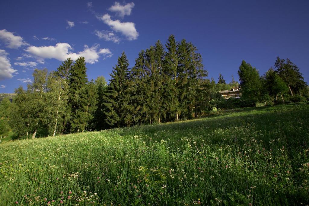 Вілла Il Giardino Dell'Artemisia Піла Екстер'єр фото